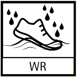 Water Resistant Shoe