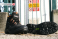 Giasco HRD057E Tesla Hard Rock Dielectric 1000V Safety Shoe